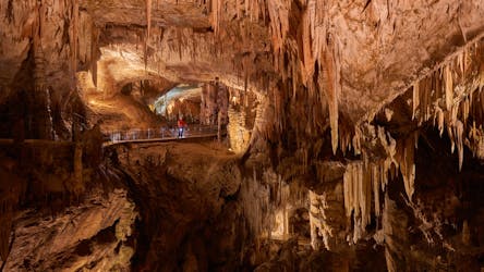 Tour to Postojna caves and Predjama castle from Koper